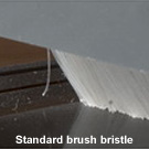 Standard brush bristle